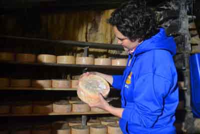Jessica López muestra sus quesos madurando en la cueva, en Sotres